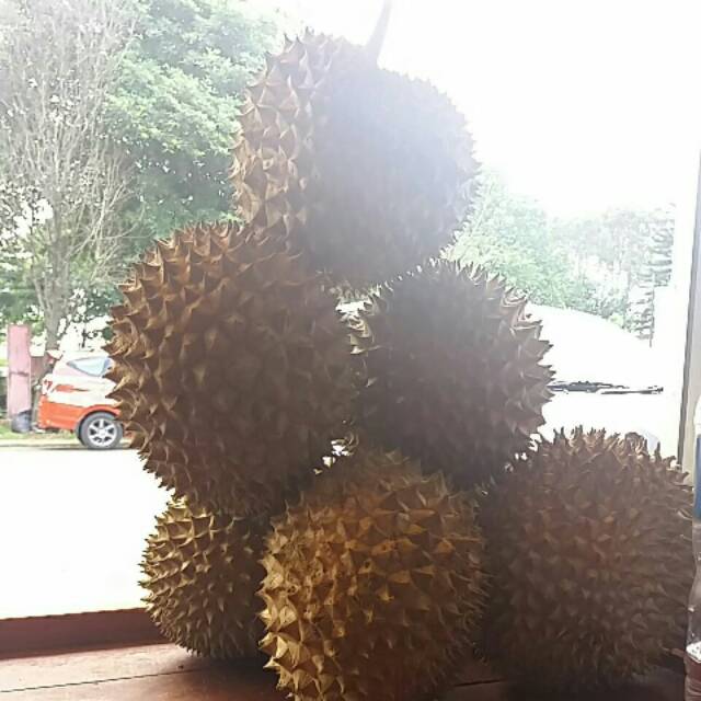 

Duren