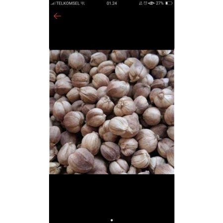 

kapulaga lokal kering alami 1kg
