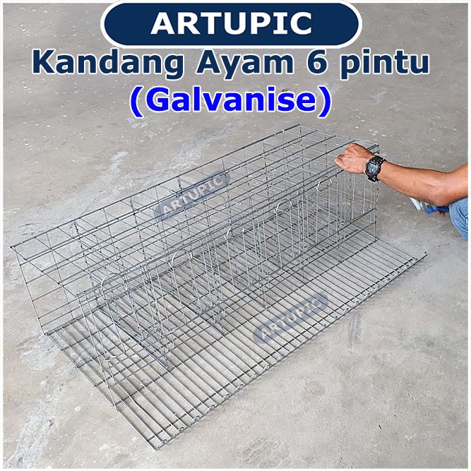 Kandang Ayam Petelur 6 Pintu Galvanise