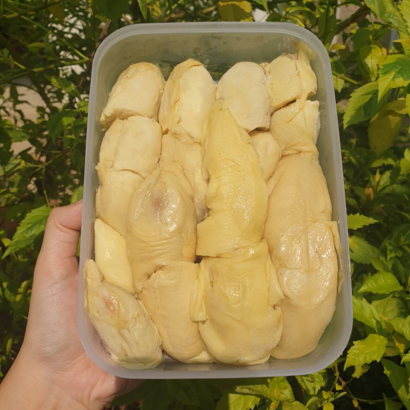 

DURIAN MEDAN SIBOLGA 1KG ASLI BUKAN ABAL2