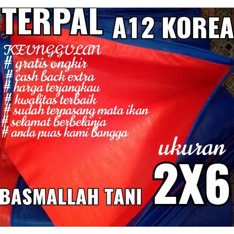 TERPAL PLASTIK A12 UKURAN 2X6 meter merk TRECK