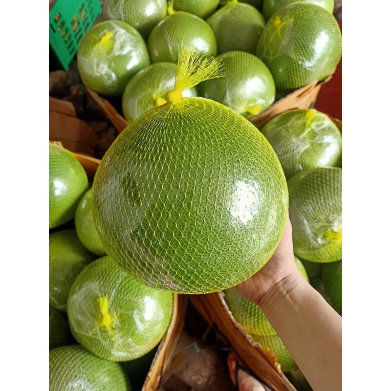 

Pomelo