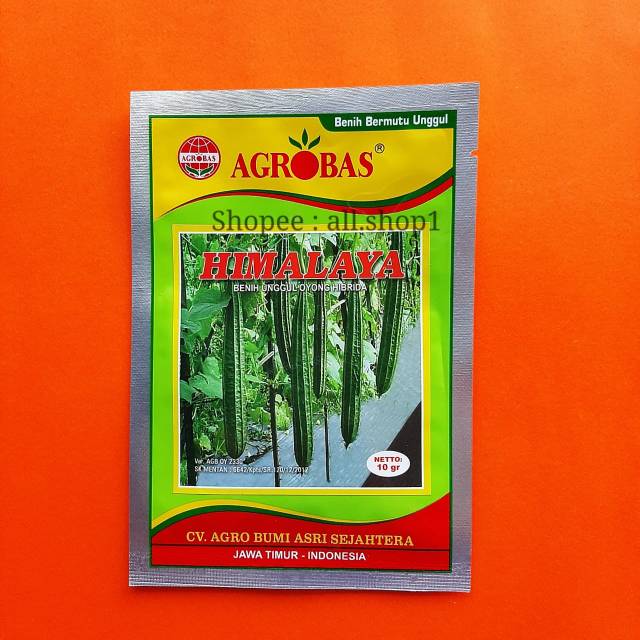 Benih Oyong / Gambas HIMALAYA Agrobas