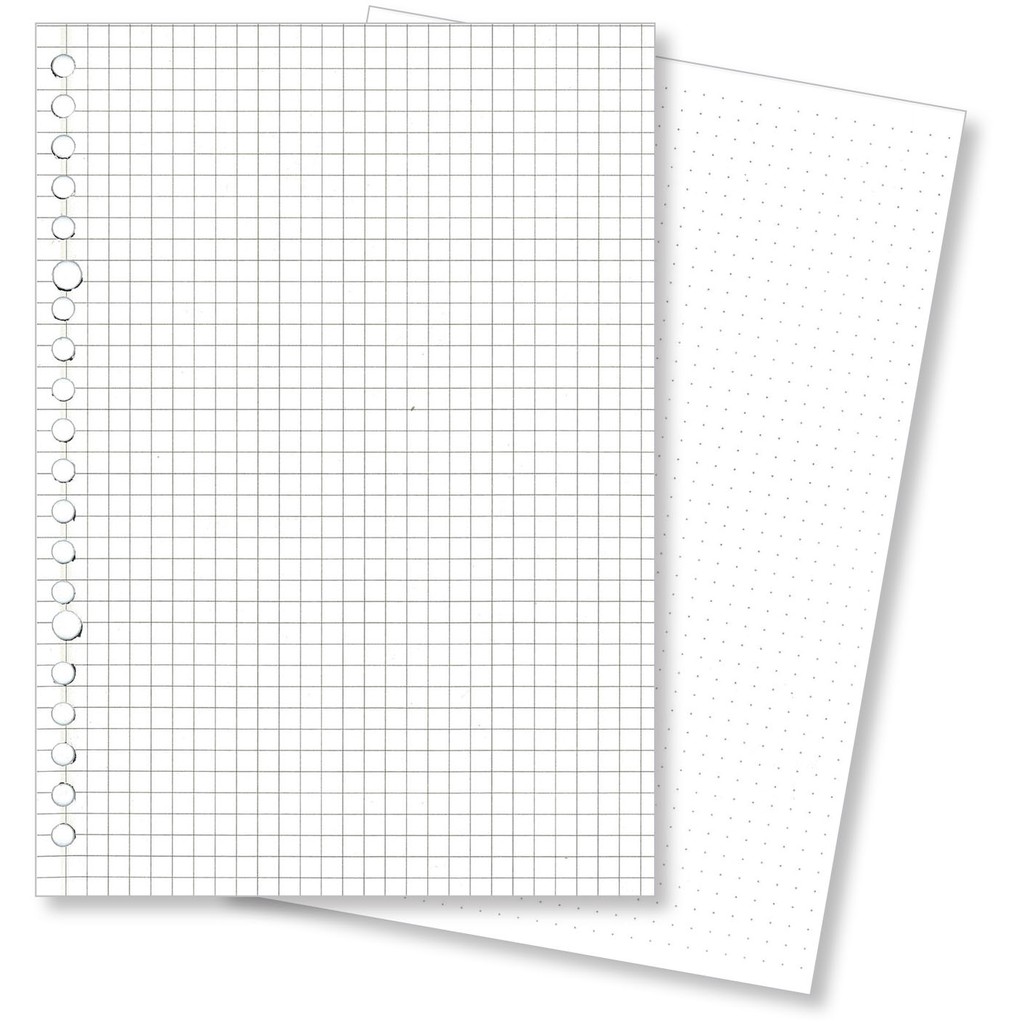 

Loose Leaf HVS 100 Gsm