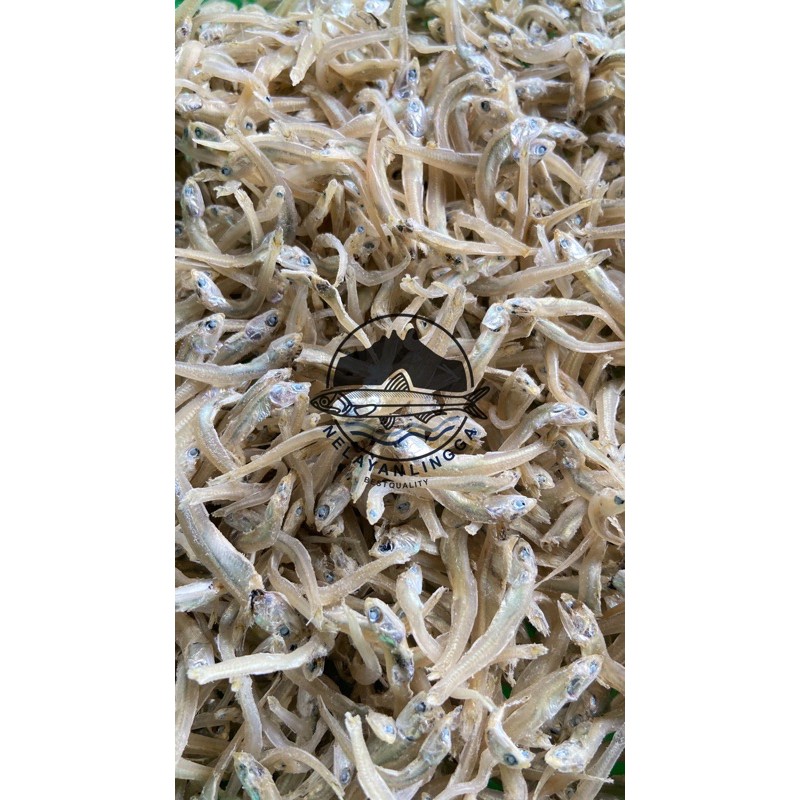 

Teri kepala merah 100gram