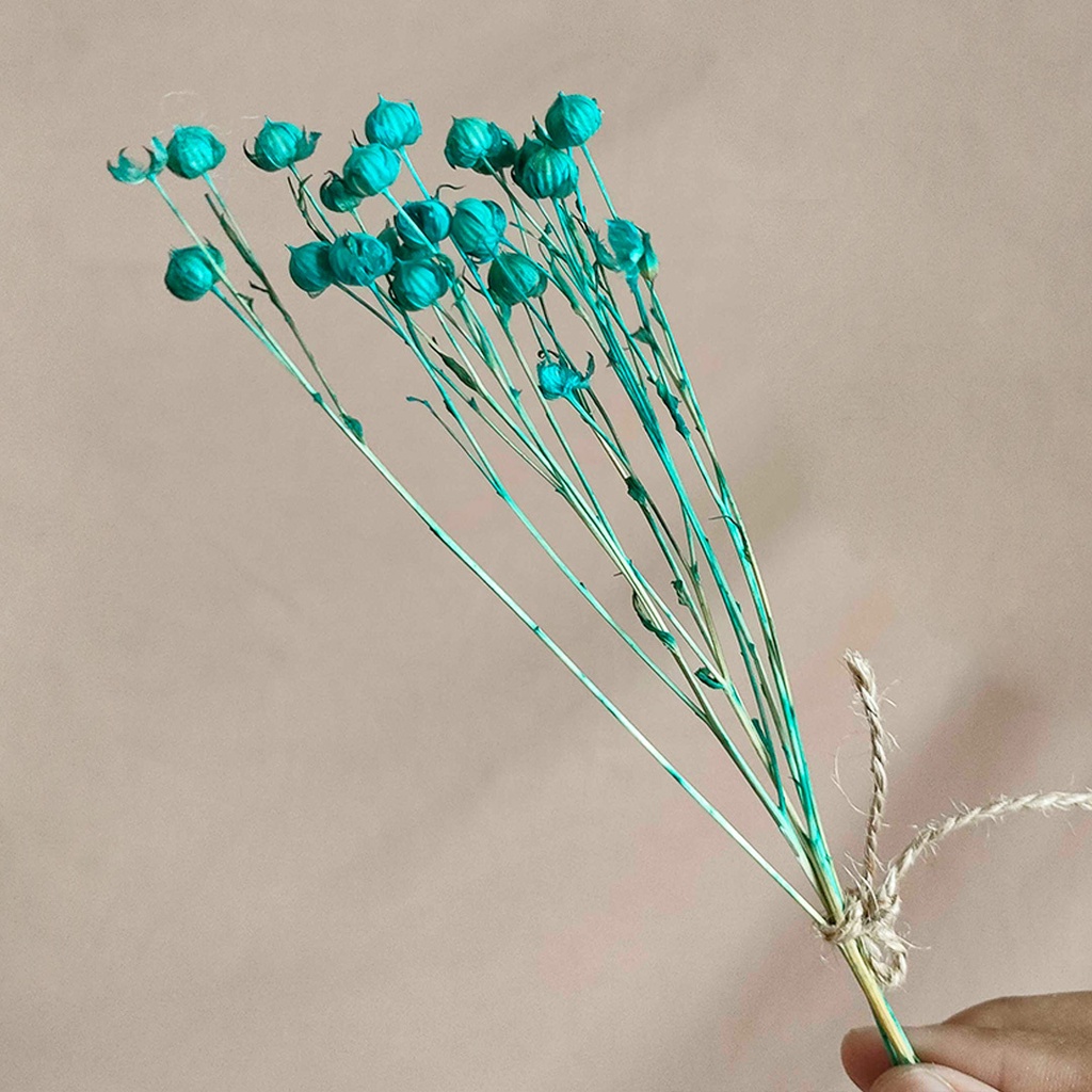 Dried Flower Lino Bunga Kering Asli Dekorasi Hias Buket Pajangan