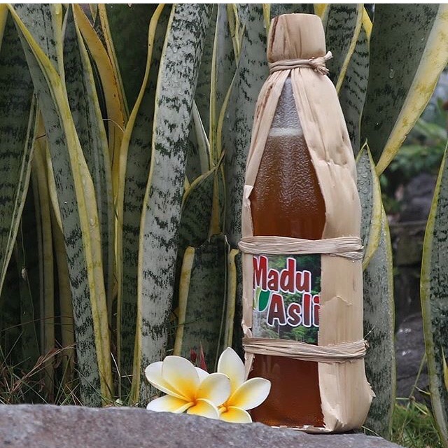 

Madu Murni | original | madu ternak | madu asli
