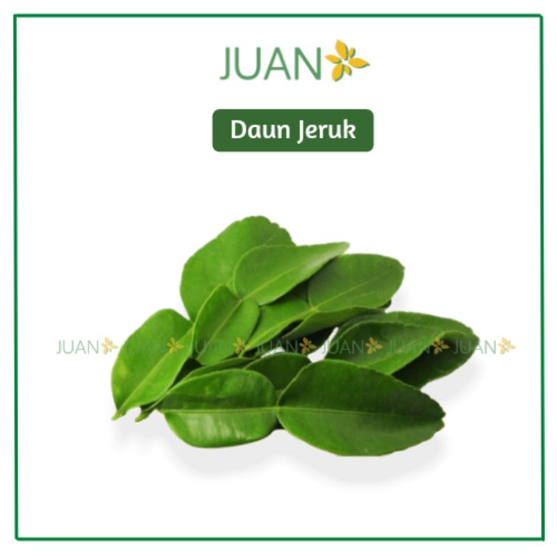 

Daun Jeruk - Juan Freshmart