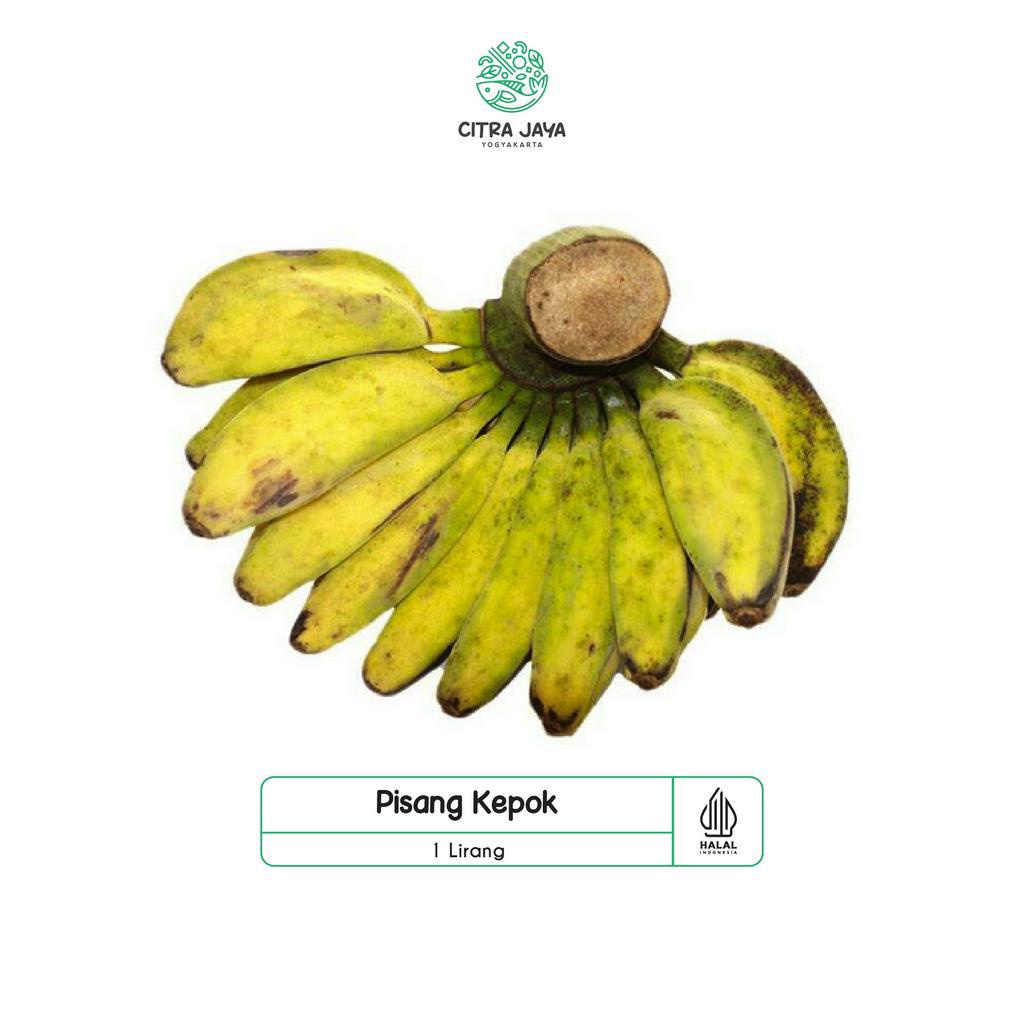

Pisang Kepok 1 Lirang - Citra Jaya Yogyakarta