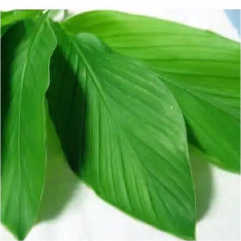 

Daun kunyit sayur 1kg