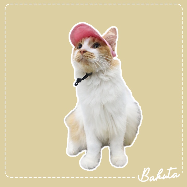 Topi Kucing dan Anjing Lucu motif Pastel Hat adult dan kitten Ada Lobang Telinga - Baju Kucing Tangerang