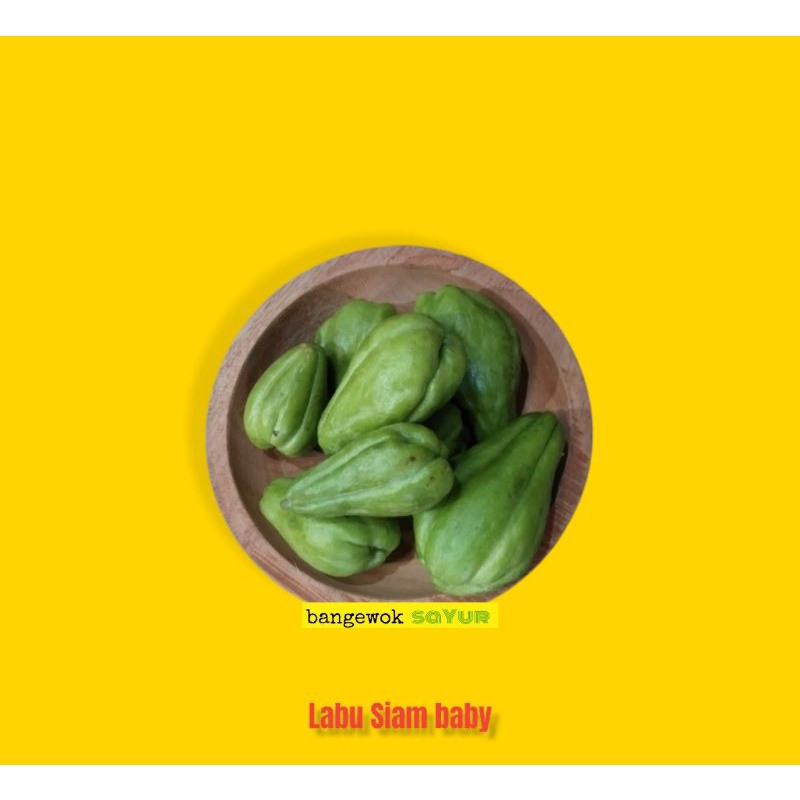 

LABU SIAM BABY 500GR