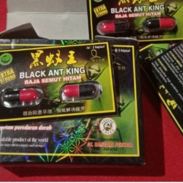 Black ant king