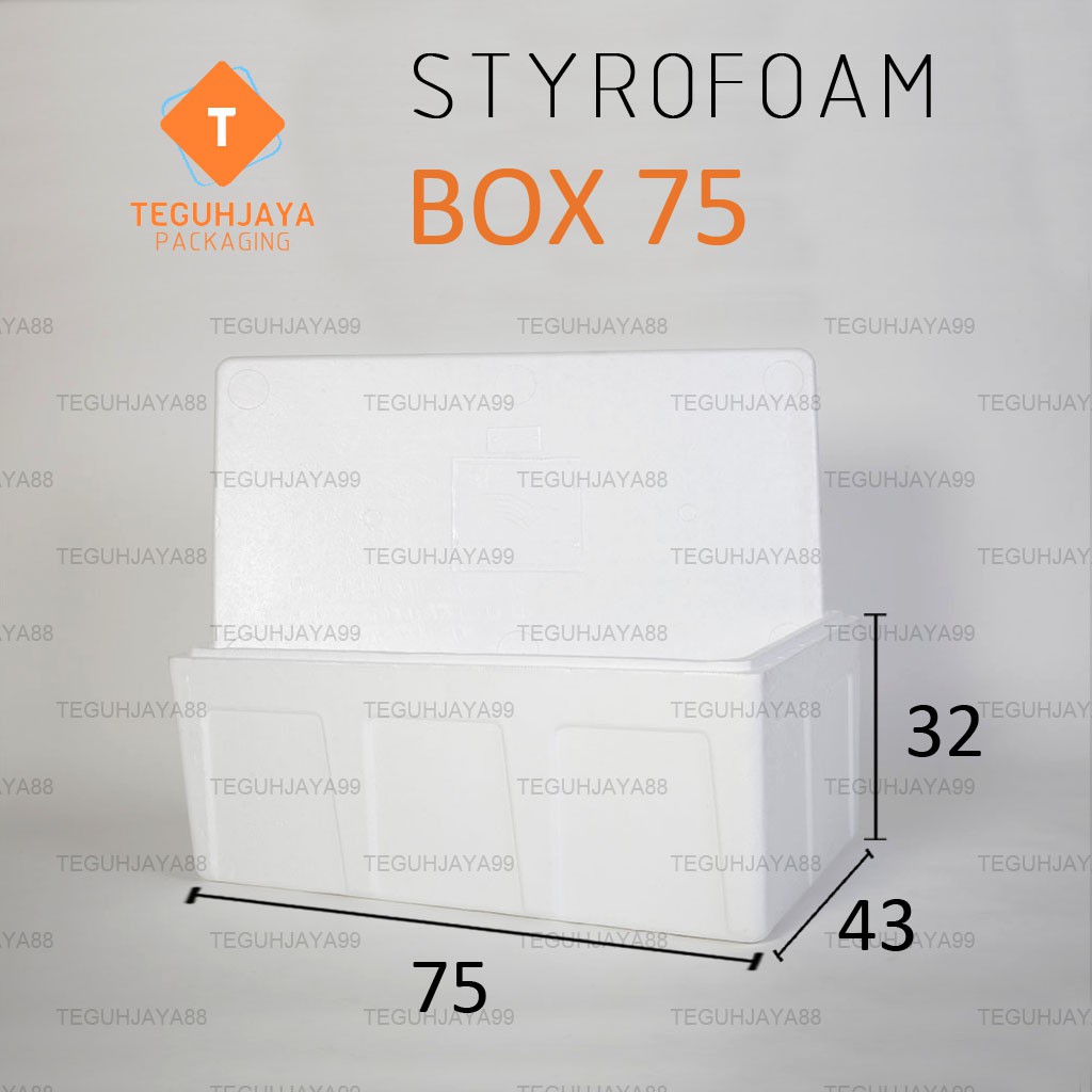 Styrofoam Gabus Box AG 75 Kotak Gabus 75x43x32 Ikan Buah Frozen Food Cool Box Makanan Beku Sterofoam