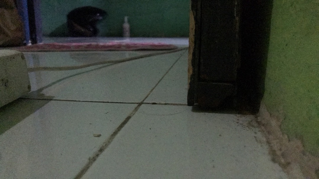 Dgm_fashion1 Kemeja Batik Songket Lengan Panjang Best Seller Batik Songket Premium Pria Casual