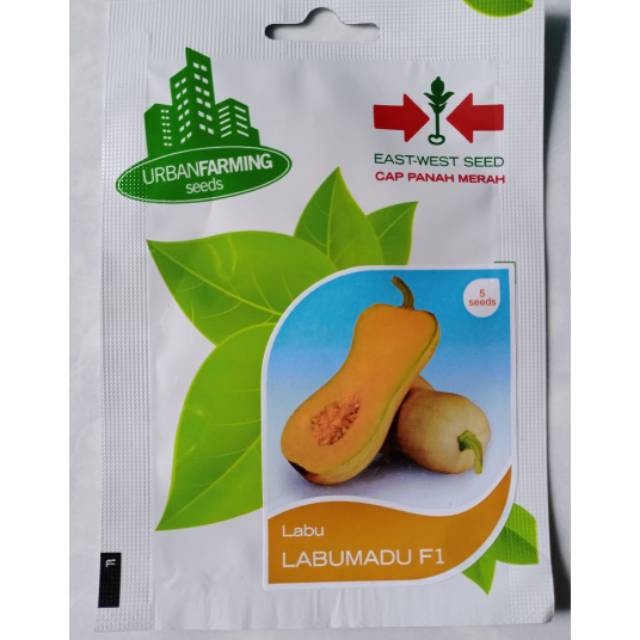 Benih Butternut Labumadu Cap Panah Merah PT East West Seed Panah Merahi5 seed
