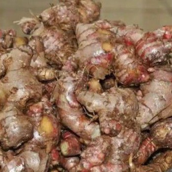

Jahe Merah Segar 250gr