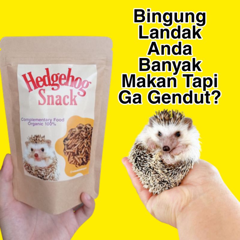 SNACK MAKANAN LANDAK MINI MAGGOT KERING ULAT HONGKONG ULAT KANDANG ULAT JERMAN ORGANIK PREMIUM SUGAR