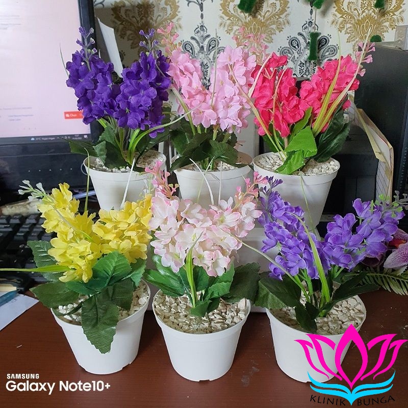 Bunga Snapdragon Rumput Besar + Pot