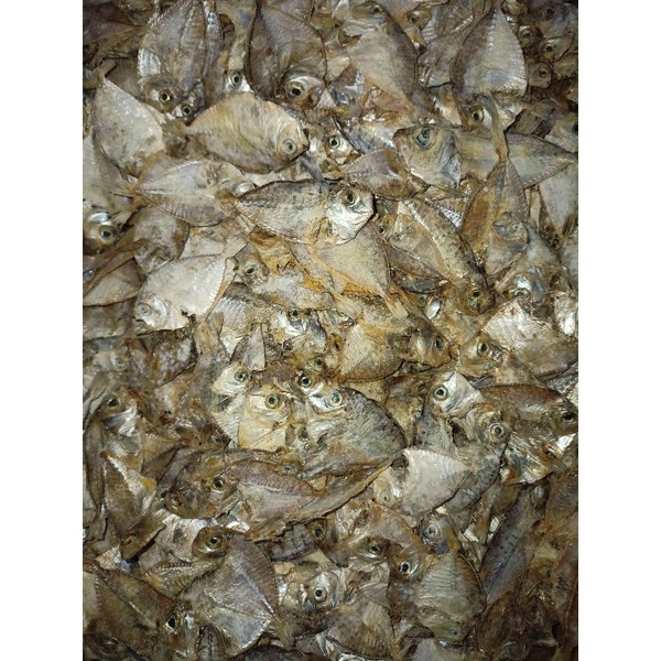 

Ikan Petek Kering kemasan 100gr