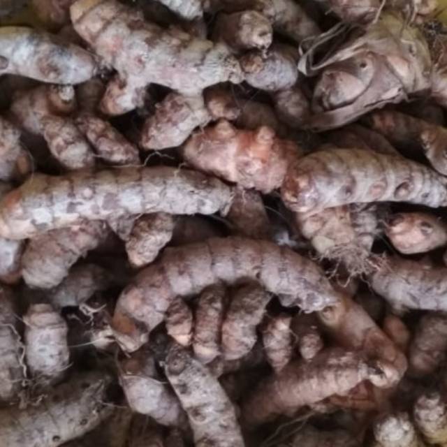 

Kunyit segar 500gr( kurang Tua)