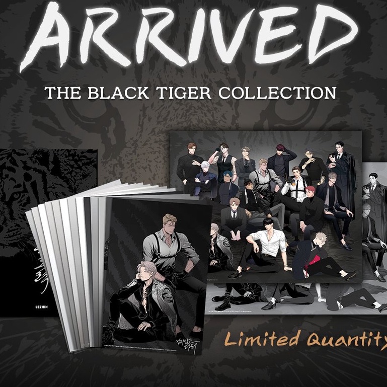 READY - LEZHIN BLACK TIGER US