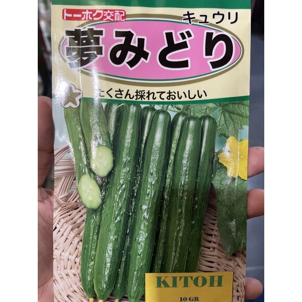 Benih Timun Jepang Kitoh bibit Timun Jepang Kitoh 10 g kyuri