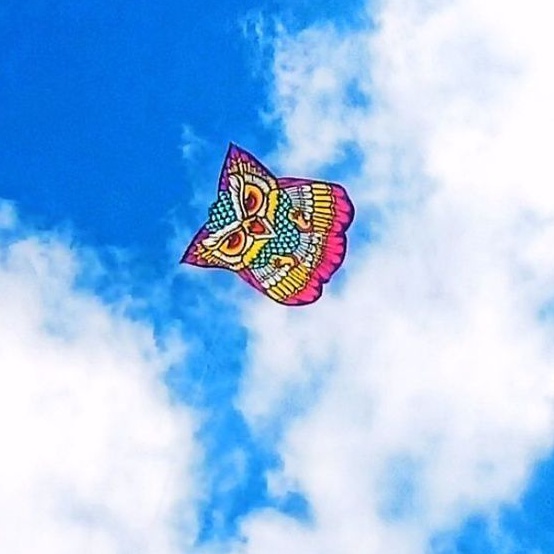 layangan celepuk burung hantu1,25m plastik semi fiber  knock down / lipat