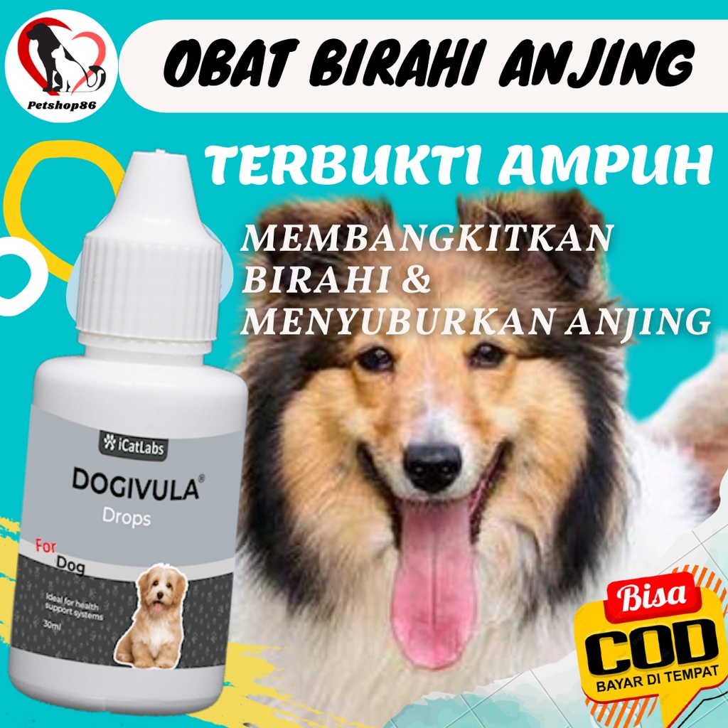 DOGIVULA DROPS SUPLEMEN VITAMIN OBAT PENYUBUR KANDUNGAN ANJING BETINA MENINGKATKAN STAMINA DAN PERAN