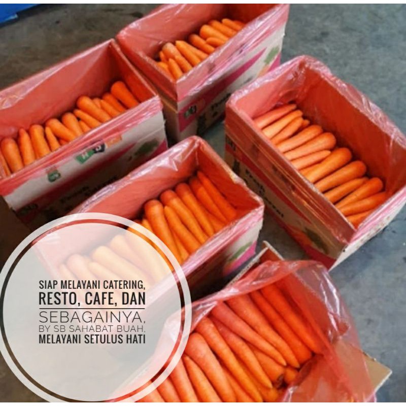 

RB wortel besar brastagi kualitas export 1 dus 10kg