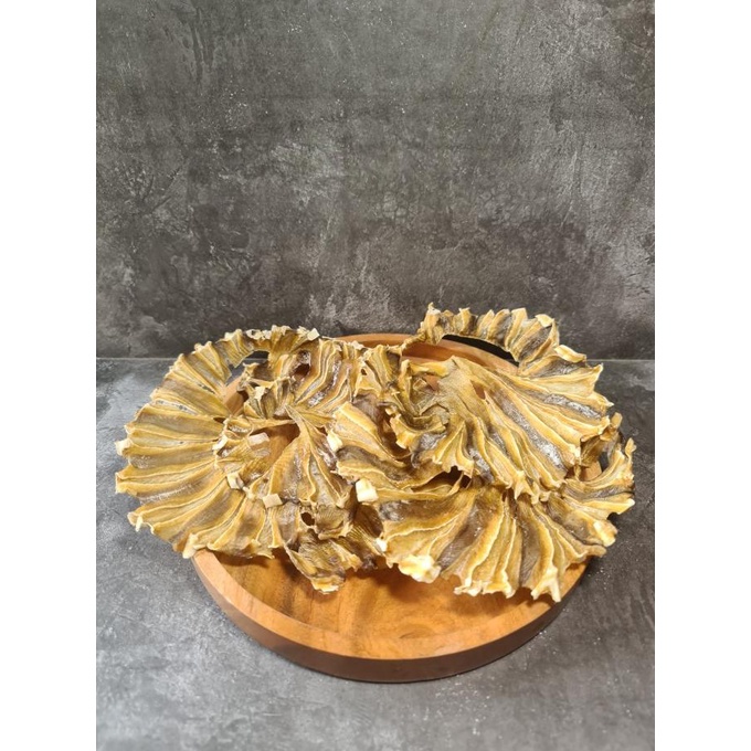 

Ikan Pari Kembang Premium Quality 500g ---Terbaru---