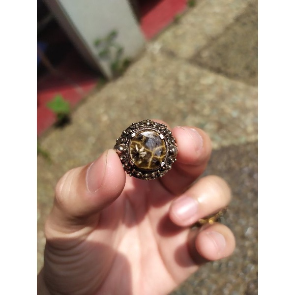 Bulu macan lumajang / basaltic / batu basaltic / basaltic tiger glass / bulu macan