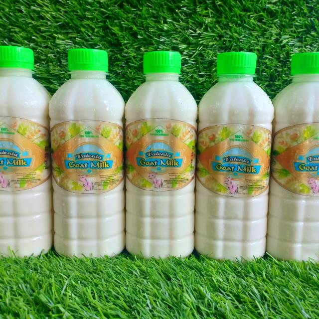 

Susu kambing etawa organik