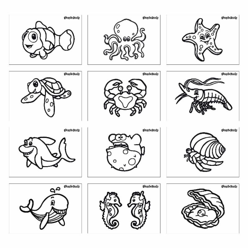 

Kertas Gambar Mewarnai Untuk Anak (12 Lembar) Tema "Biota Laut