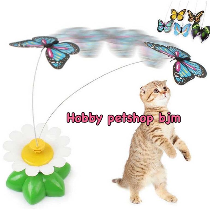 Mainan kucing kupu kupu elektrik - cat toys kitten