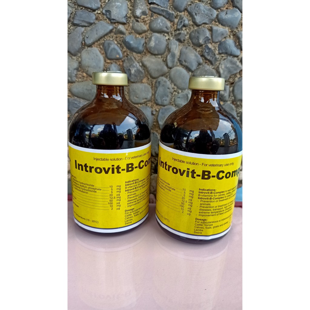 Jual Introvit B Complex | Shopee Indonesia