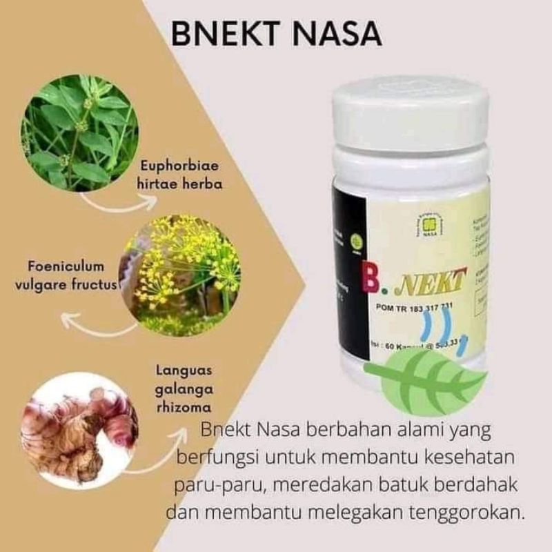 B NEKT NASA, OBAT PARU PARU,ASMA,OBAT PERNAFASAN,SESAK NAFAS