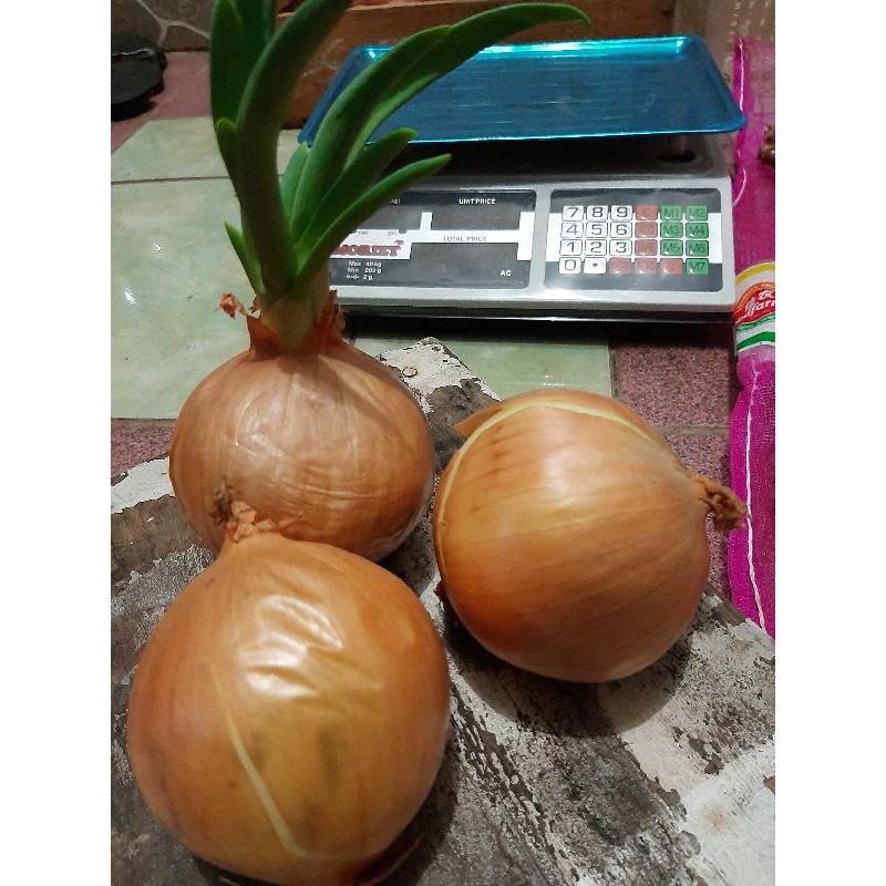 

Bombay kemasan 200 gram