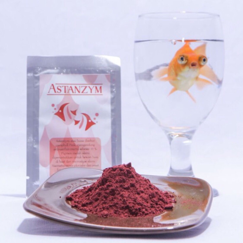 ASTANZYM 5gr - CAROPHYLL PINK Astaxanthin Carophyl Carofil 5 gram