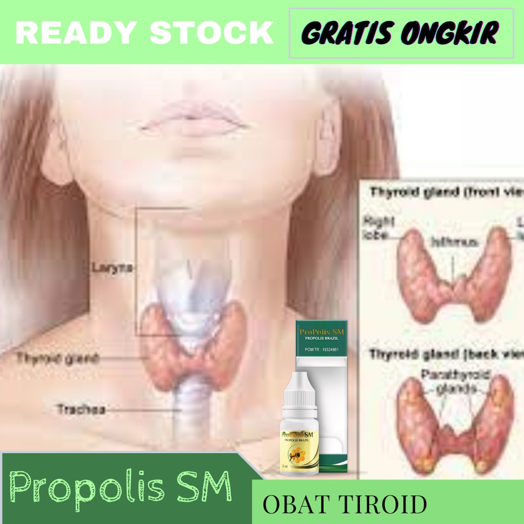 Obat Tiroid Alami, Obat Tiroid Membesar, Obat Kelenjar Tiroid Membesar, Obat herbal tiroid, Obat tir