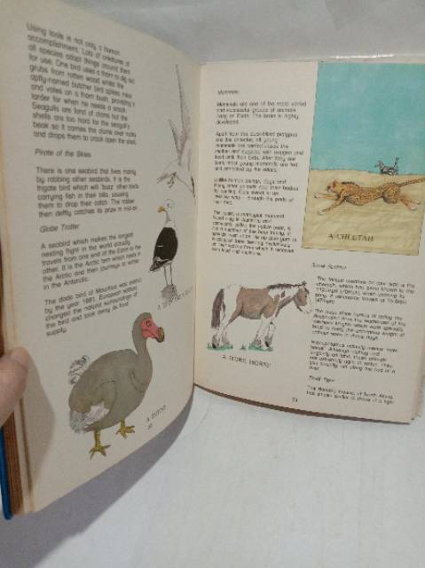 Children's pictorial book of knowledge bahasa inggris