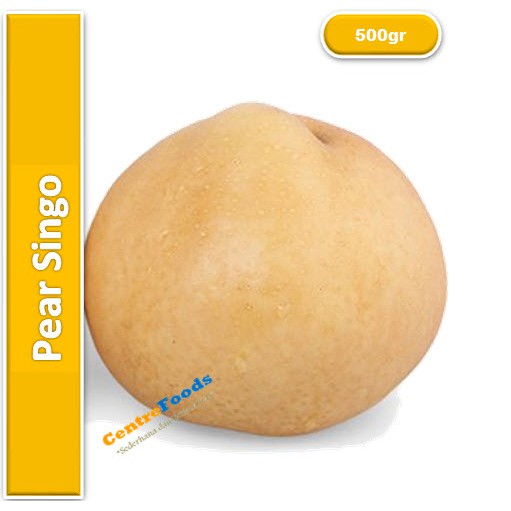 

Buah Pear Singo - Import Fresh | 500gr [ Harga Per 0,5 Kg ]