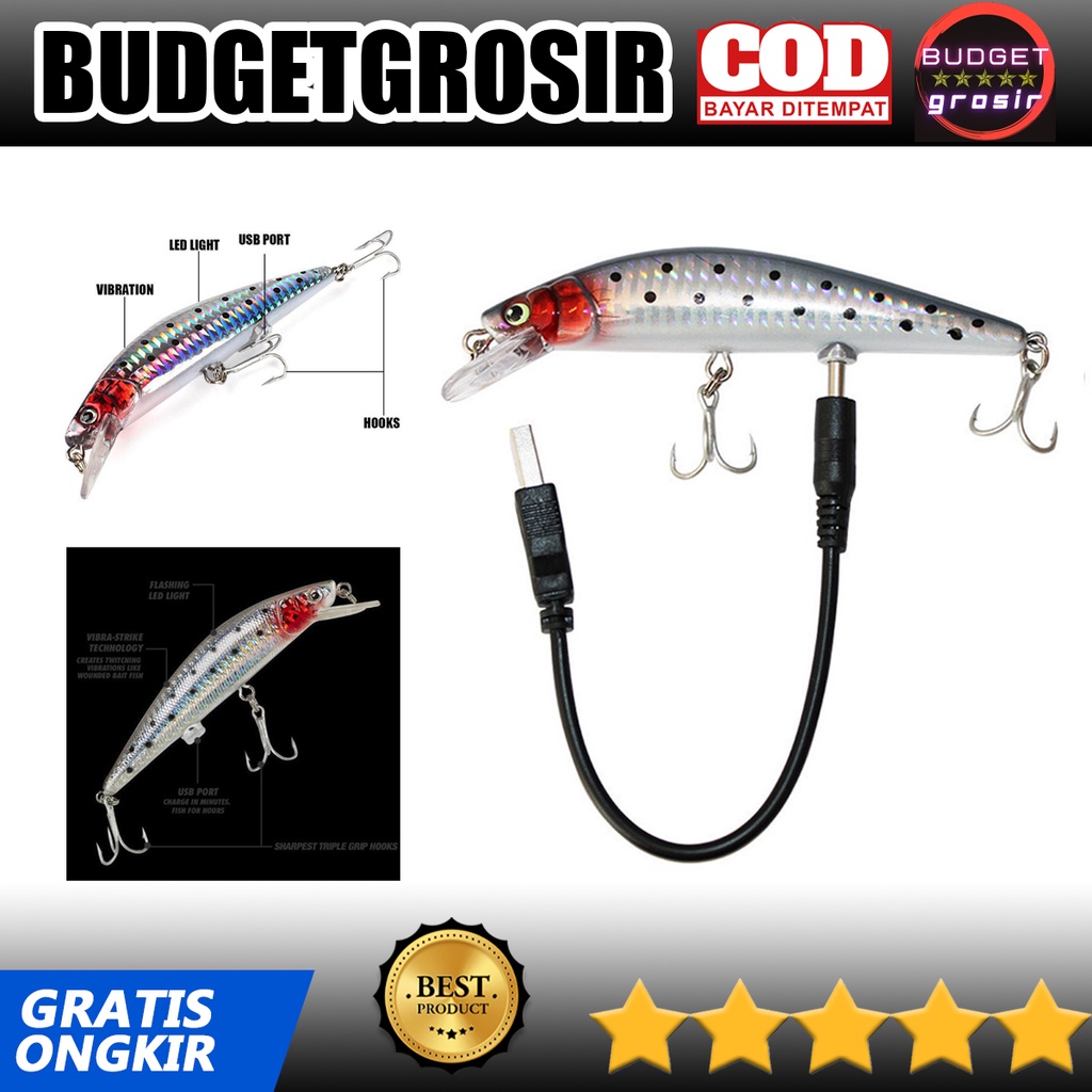 Umpan Pancing Ikan Flashing LED Floating Lure Bait Rechargeable - Silver