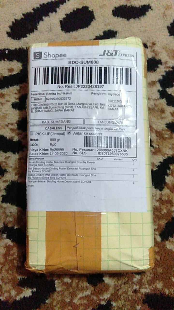 Hiasan Dinding Wall Decor Poster Dekorasi Ruangan Shabby Flowers Bunga Tulip Sdn049