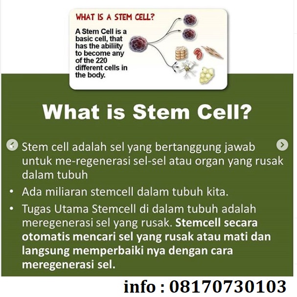Kesehatan - Suplemen Kesehatan