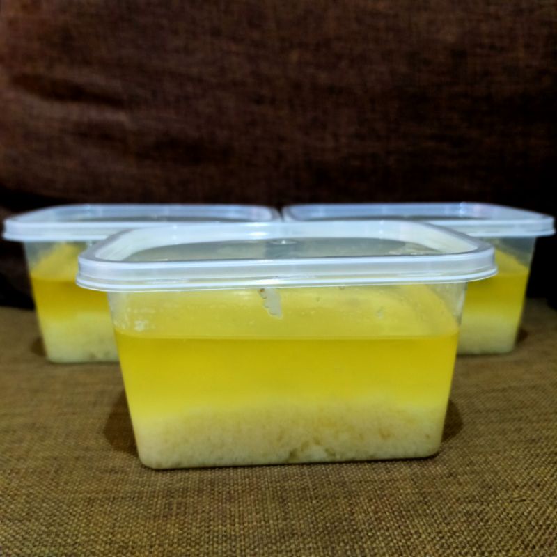 

BACEMAN BAWANG PUTIH OIL GARLIC BUMBU NASI GORENG TUMISAN SIAP PAKAI