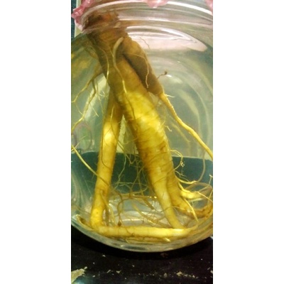 

4r ak ginseng herbal