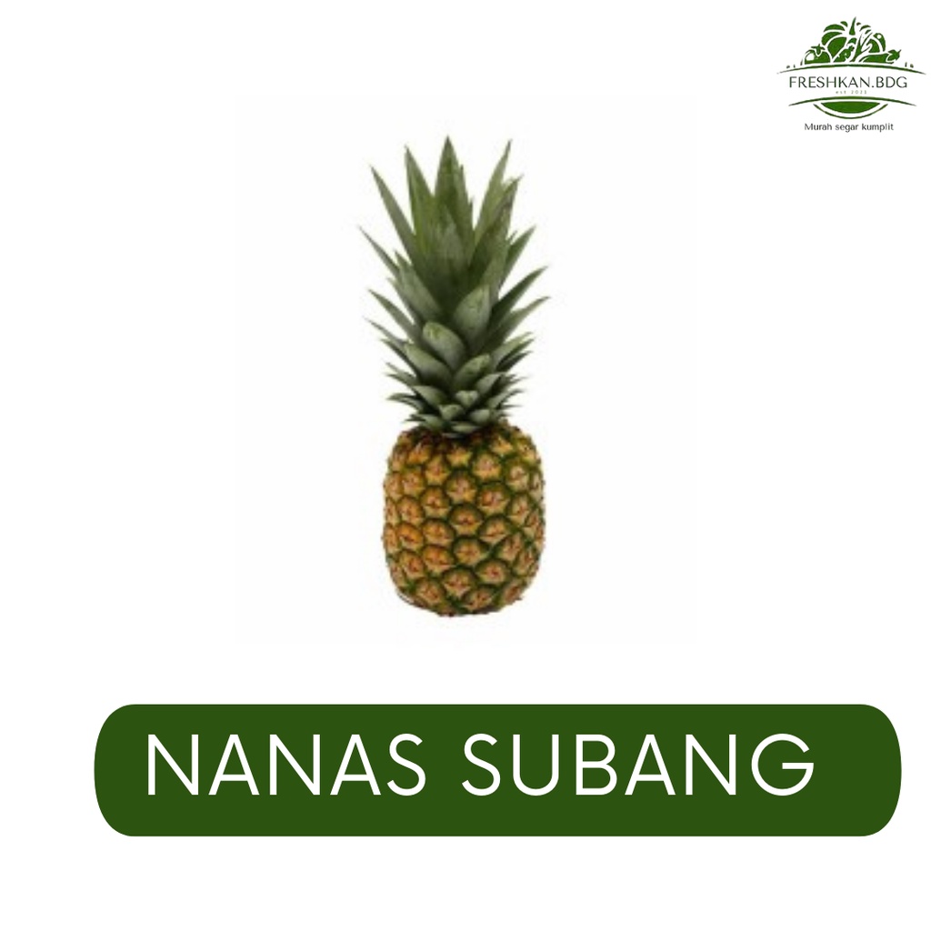 

NANAS SUBANG BUAH FRESHKAN