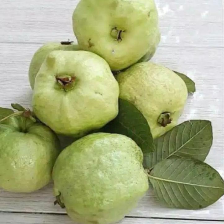 

✨Stock New Jambu Kristal Non Biji 1 kg #murah