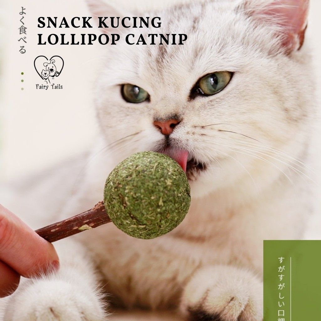 Catnip Stick / Lollipop / Snack Kucing Mainan Catnip Bahan Alami